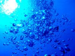 海の中で呼吸