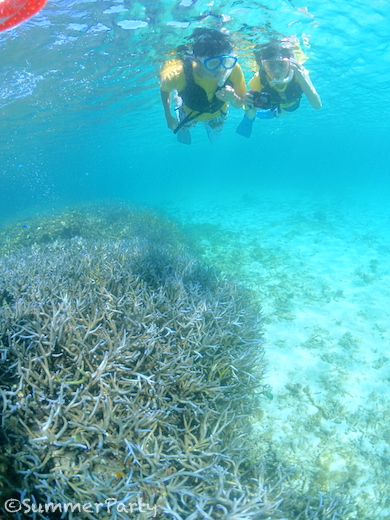 フナクスビーチのサンゴ礁